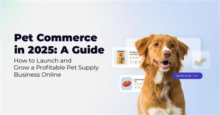 A Guide To Online Pet Supply Dominance